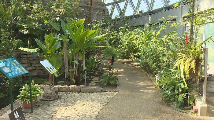 新潟県立植物園(新潟市秋葉区)。暑さのためか人もまばら…