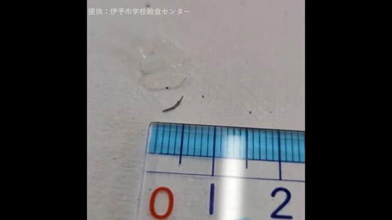 伊予市の学校給食センターで「ご飯」に金属片混入を職員発見　児童・生徒の被害報告なし【愛媛】｜FNNプライムオンライン