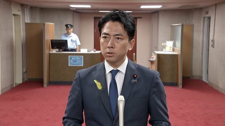 小泉農水相「世界が混迷の時代に外交安保を他の政党に任せられるわけない」　自民政権継続の重要性を強調｜FNNプライムオンライン