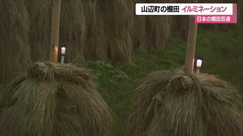 【山形】夜の棚田を照らす・イネを乾かす稲杭にソーラーライトでイルミネーション　山辺町大蕨の棚田｜FNNプライムオンライン