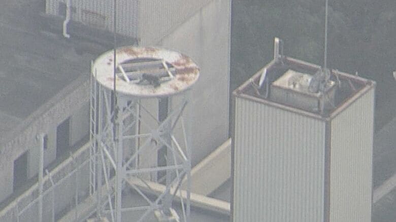 【続報】「ビルからビルへ飛び移り…」広島市中心部にサル出没　18日目撃と同一個体か　捕獲に至らず｜FNNプライムオンライン