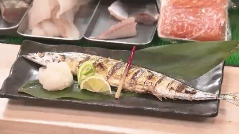 福岡の店にも秋の味覚サンマ　今年はサイズ大きく脂の乗りも価格も良し　鮮魚店が教える“おいしいサンマ”の選び方｜FNNプライムオンライン