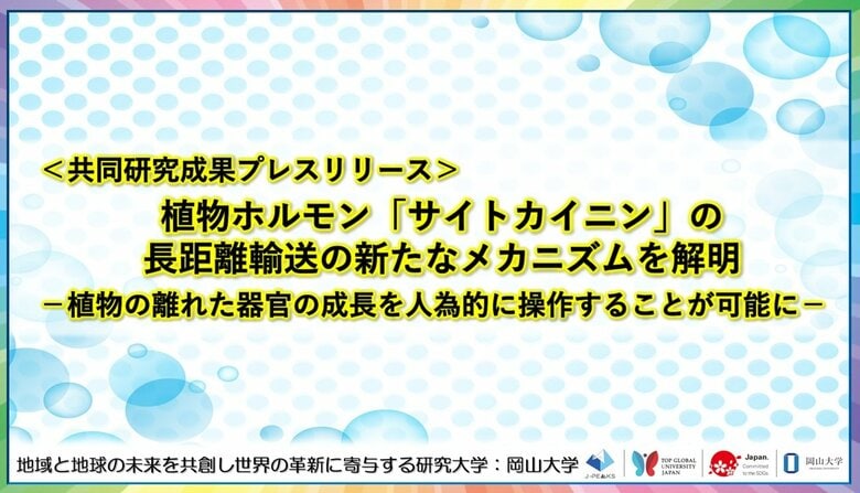 植物ホルモン「サイトカイニン」の長距離輸送の新たなメカニズムを解明-植物の離れた器官の成長を人為的に操作することが可能に-〔島根大学, 中部大学, 理化学研究所, 東京大学, 岡山大学, 名古屋大学〕