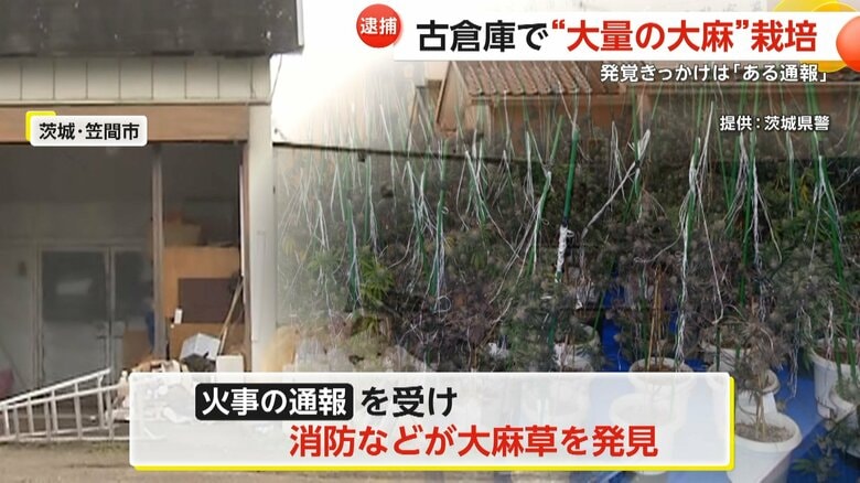 大麻草323本！古倉庫で“大量の大麻”栽培…近隣住民が「火事の通報」で発覚　ベトナム国籍の男（34）を逮捕　茨城・笠間市&lt;br /&gt;｜FNNプライムオンライン