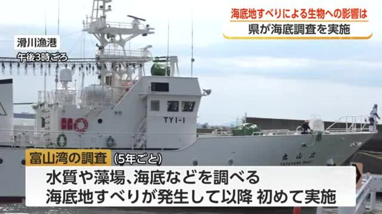 能登半島地震が富山湾の生態系に与えた影響を調査　今年で3回目｜FNNプライムオンライン