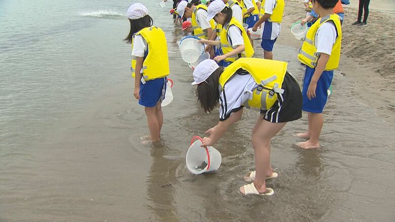 小学生が“ヒラメの稚魚”1万4500匹を放流「自由に動いてたくさん食べて」3年後には体長40～60cmほどに成長！新潟・聖籠町｜FNNプライムオンライン