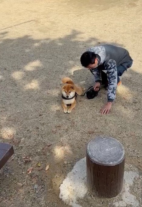 この日は、拒否柴解除法を実施（提供：カンさん）