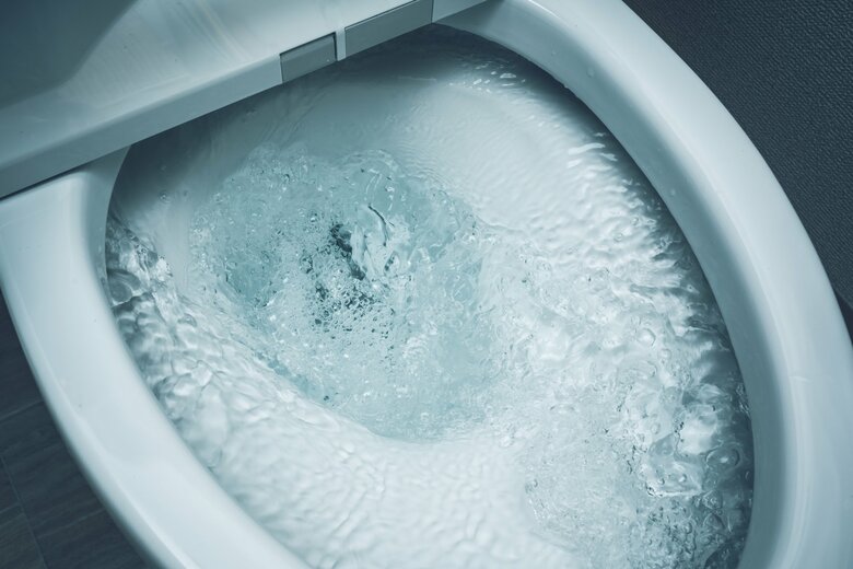 臭いの原因は普段はおしっこと一緒に排出されている（画像はイメージ）