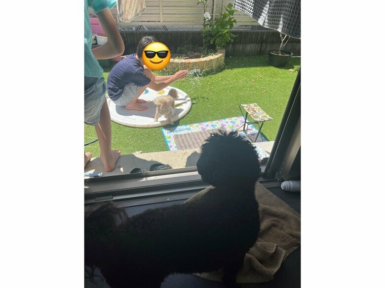 庭のミニプールで