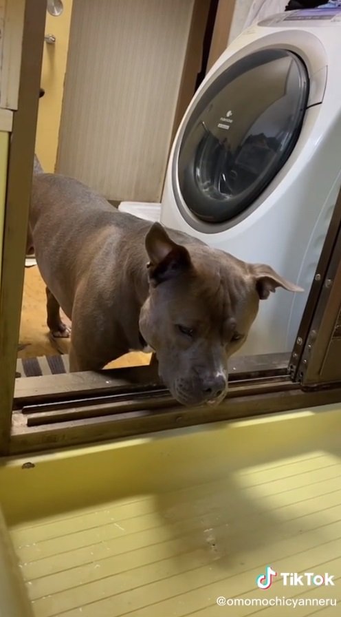 転がるボールをじっと見つめて