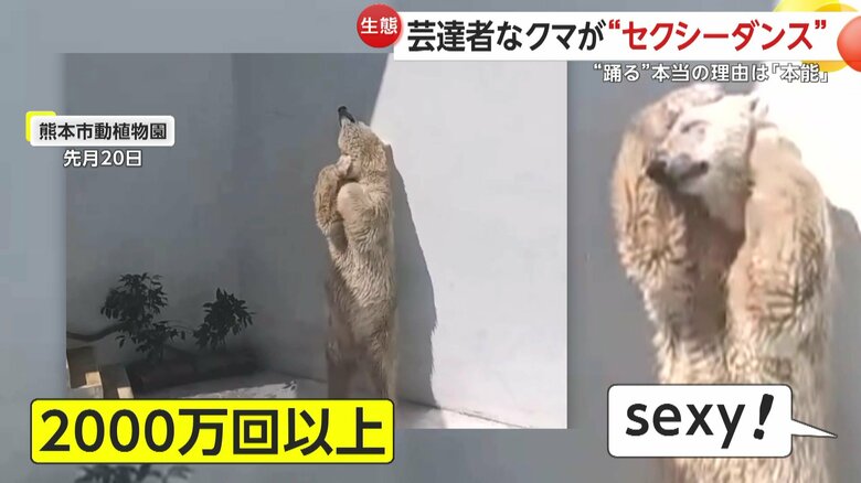 SNSで一躍話題となったダンス（視聴者提供）