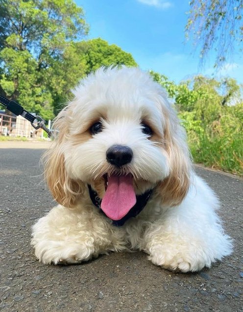 提供：宮原幸恵さん