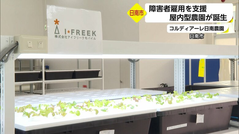 障害者雇用を支援する屋内型農園