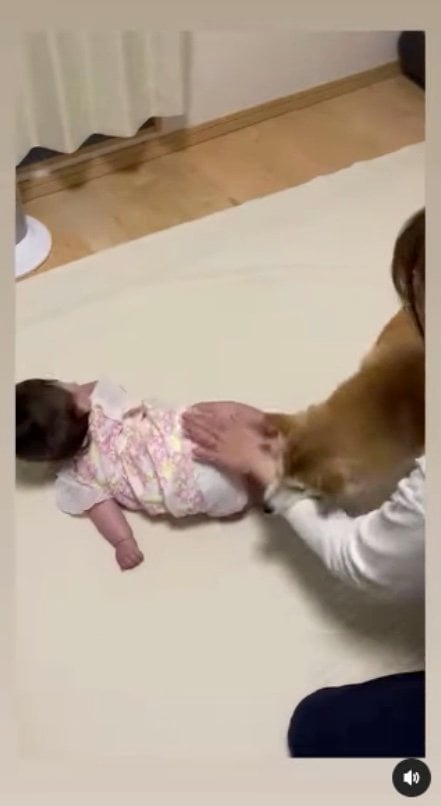 だから、叩かないで！（提供：SORAさん）