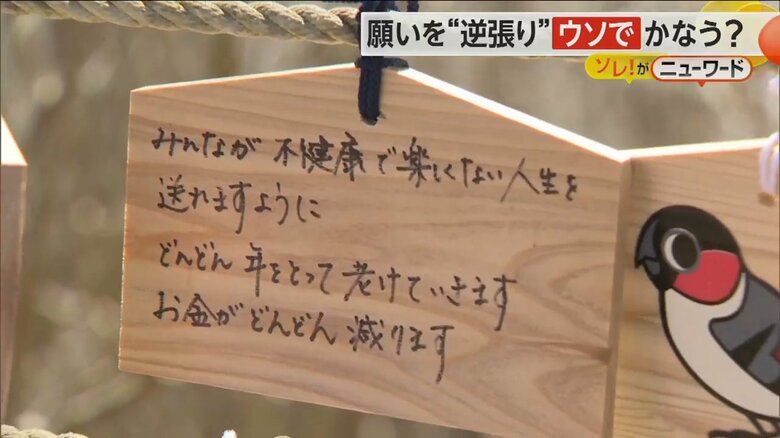 「不健康で楽しくない人生を送れますように」とウソの願いが書かれた絵馬
