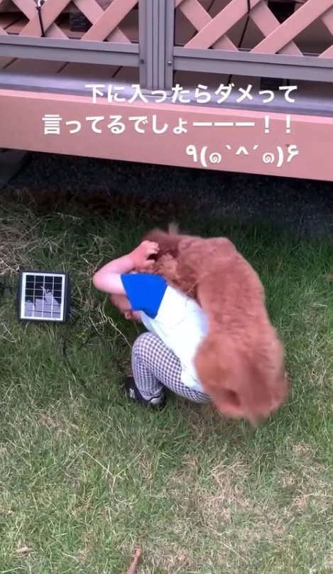 提供：pontagon0518さん