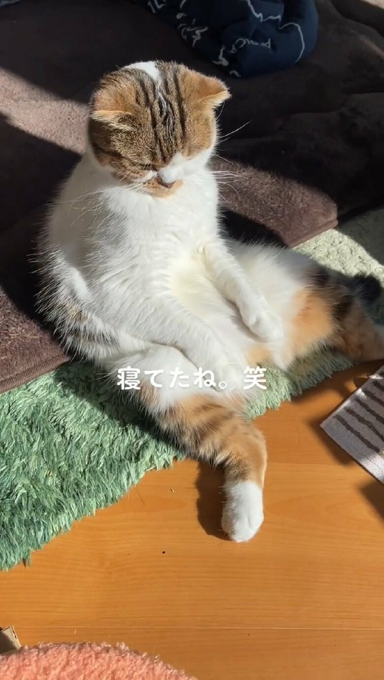 お耳をぴくぴく