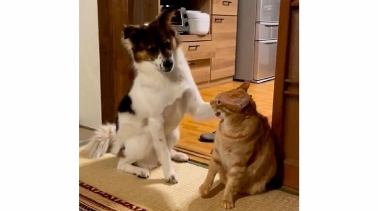 お互いに「自分は悪くない」と思っている