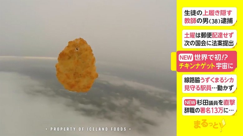 世界で初!? チキンナゲット 宇宙に