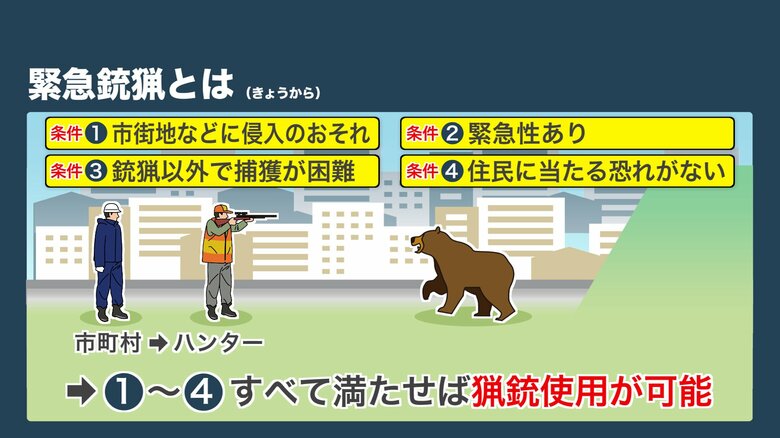 4つの条件を満たせば猟銃使用が可能に