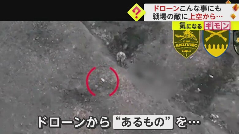 （ウクライナ陸軍）