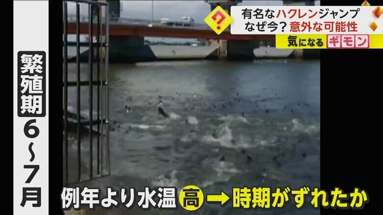 （FNN投稿サイト「ビデオPost」）