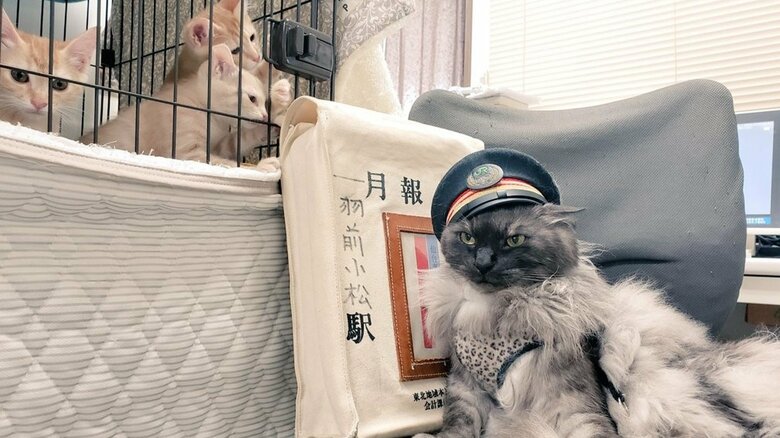 業務の引き継ぎ中かもしれない