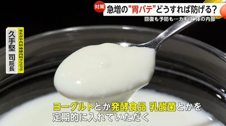発酵食品、乳酸菌が腸内の“善玉菌”の活躍を助ける
