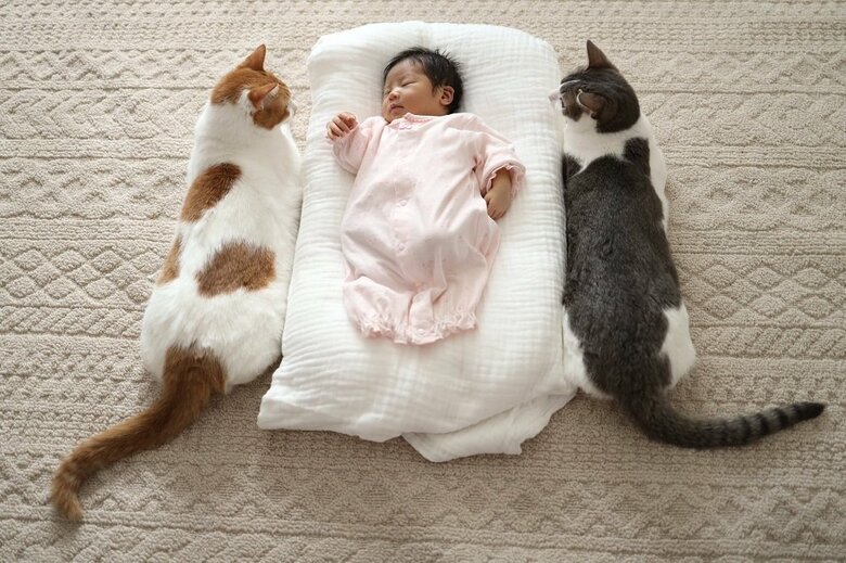 左からカヌレくん、娘さん、アメリちゃん（2020年12月撮影）