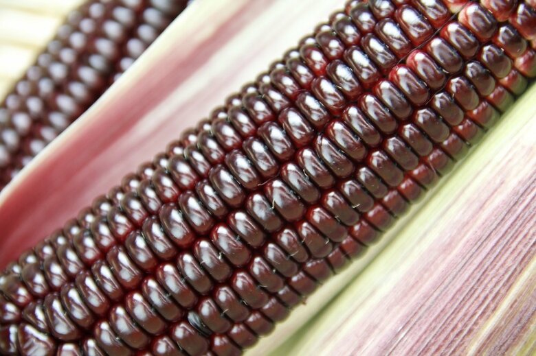 （提供：株式会社大和農園）