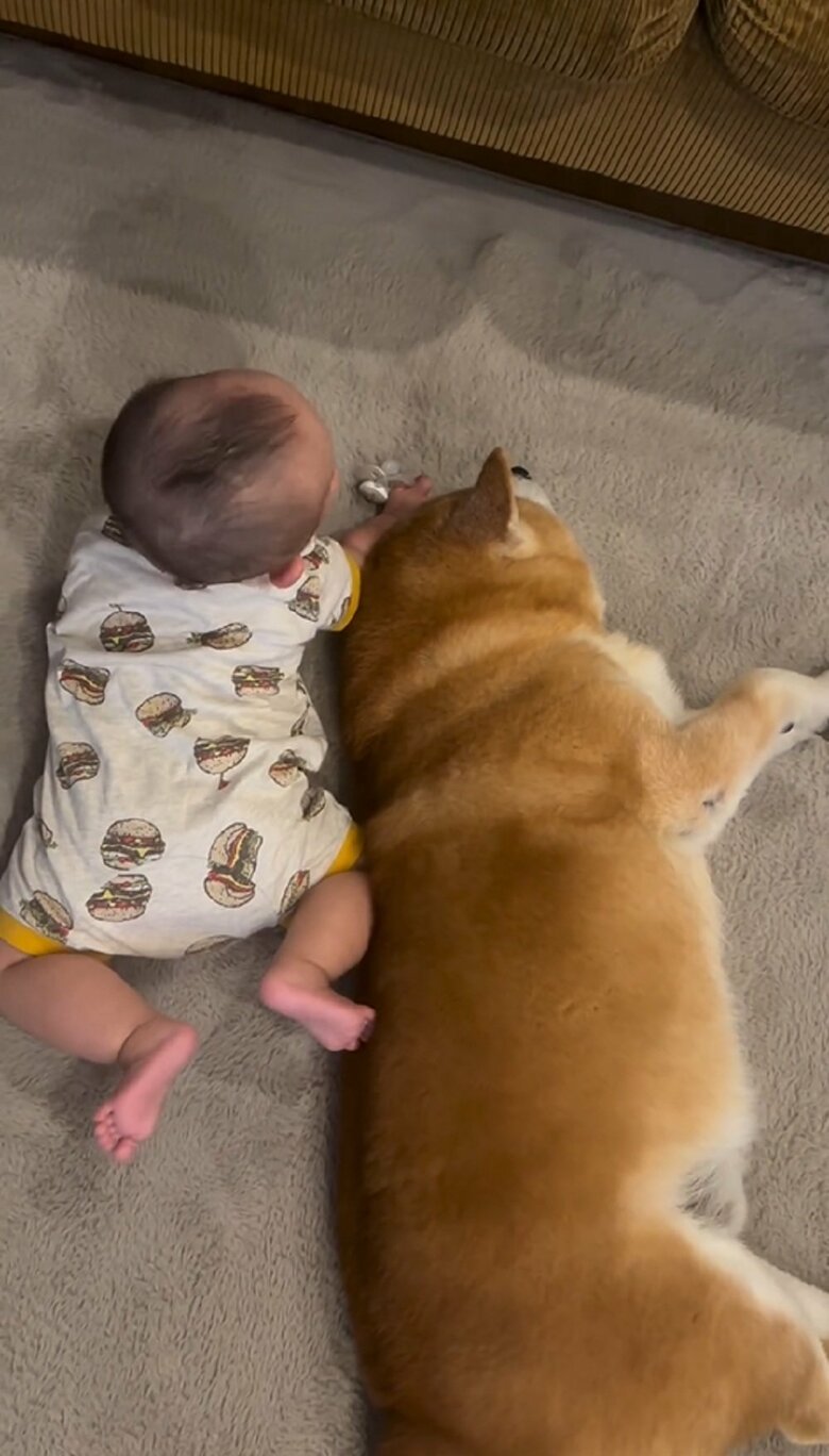 寝返りに成功すると、べりやんくんとの距離が近い！