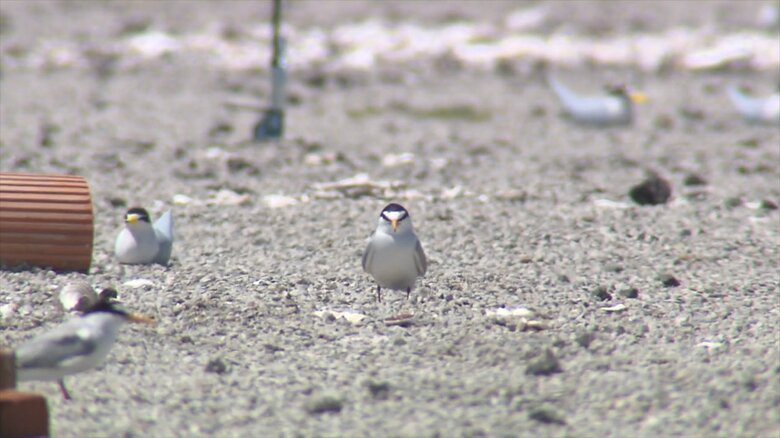 諸富浄水場跡地（佐賀市）
