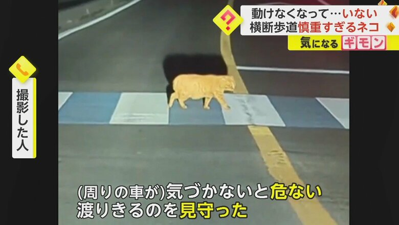 （たろす@bnr34さん）