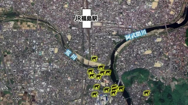 サルの目撃情報