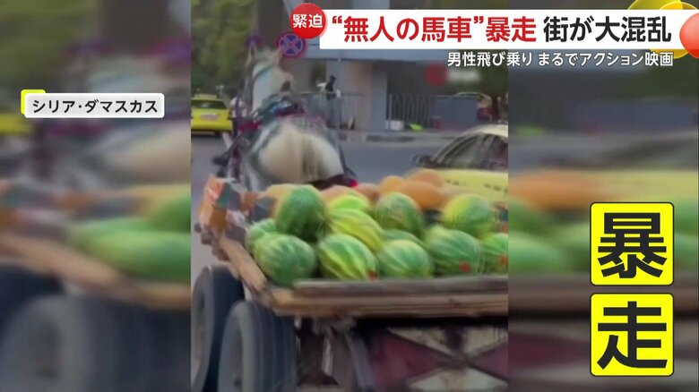 スイカだけをのせて暴走していた無人の馬車（シリア・ダマスカス）