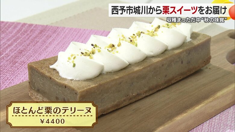 濃厚で贅沢なテリーヌ