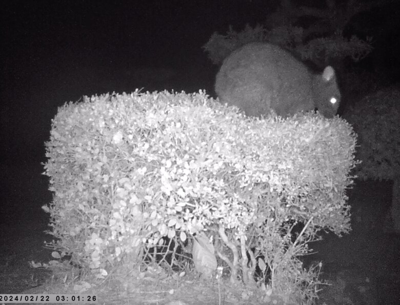 画像提供　森と海の藝術楽校