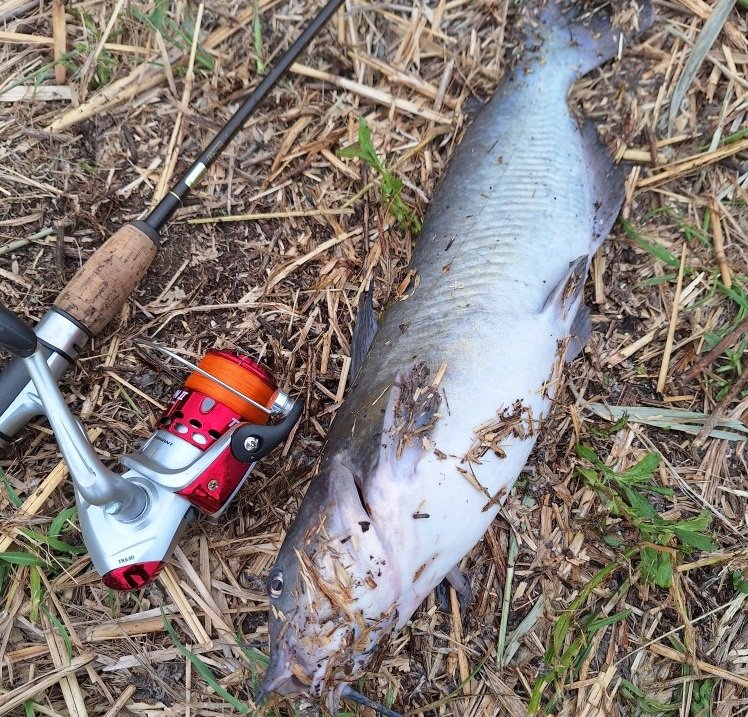 提供：木下さん