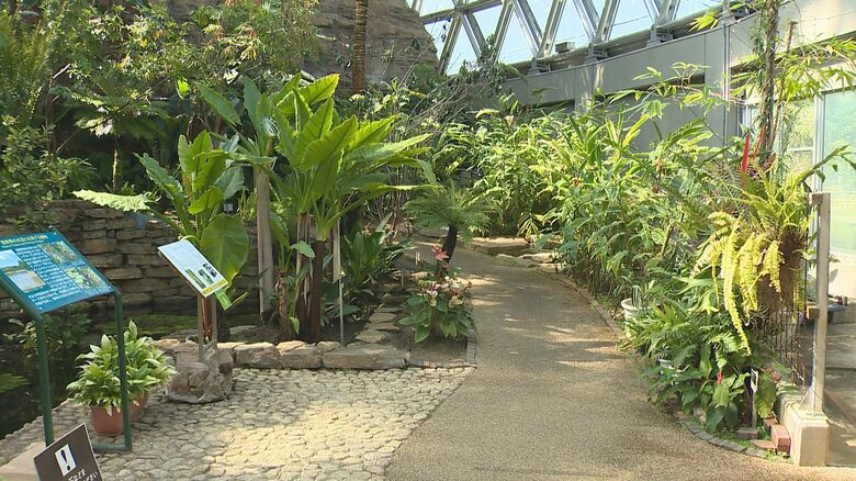 新潟県立植物園（新潟市秋葉区）。暑さのためか人もまばら…