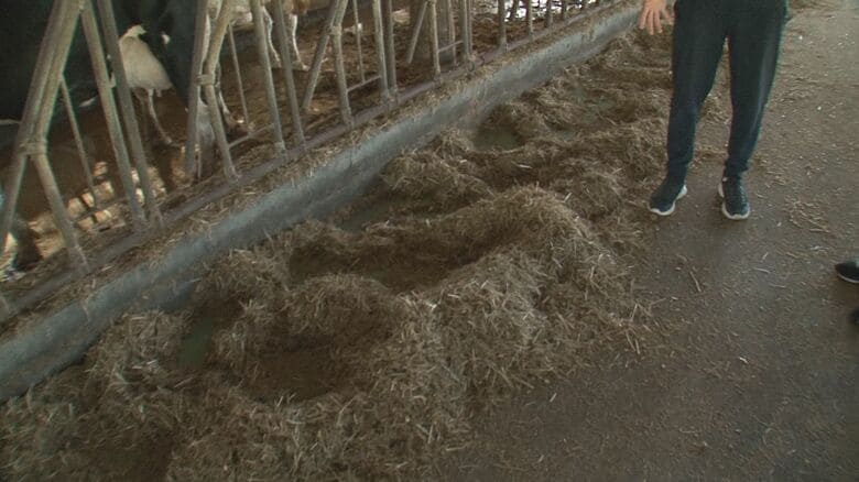 食べ切ることができなかったエサ