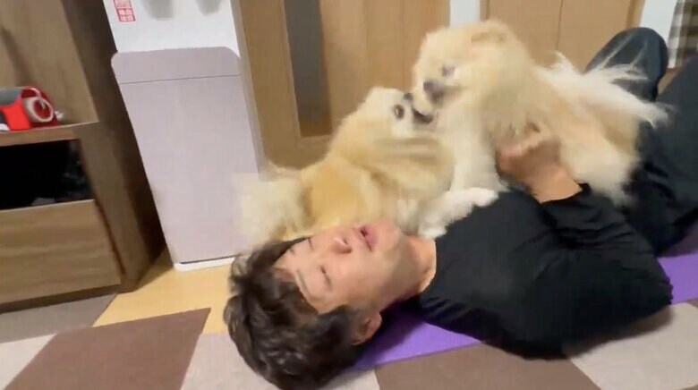 提供：愉快な3姉妹ポメラニアンちゃんねるさん