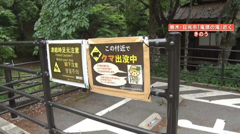 ｢クマ出没中｣という注意書きの看板