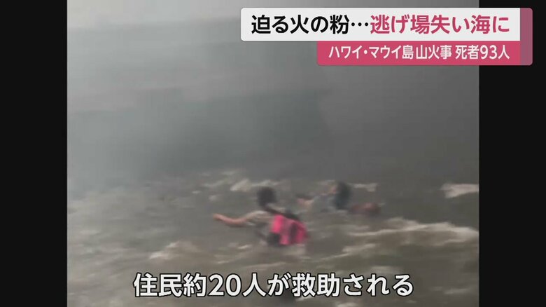 約20にが救助された