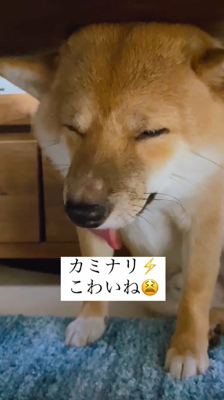 トラウマになってしまったそう