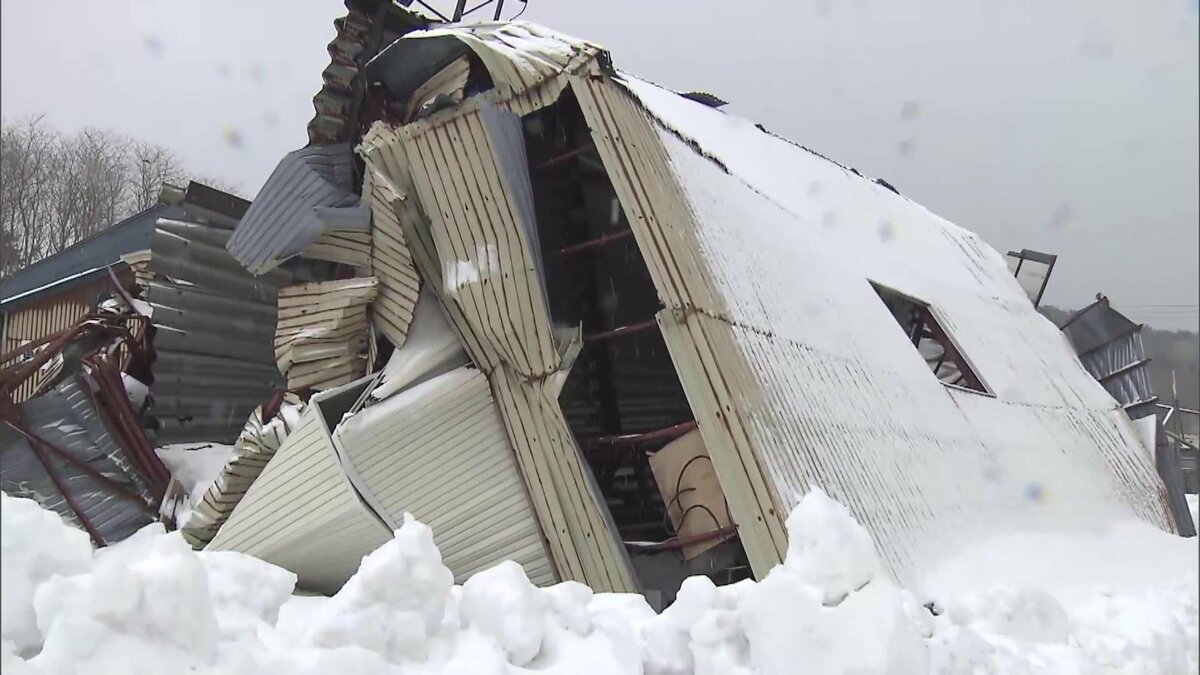 もう雪見たくもない…」雪の重みで倉庫倒壊…10棟被害 地域優先で自社の