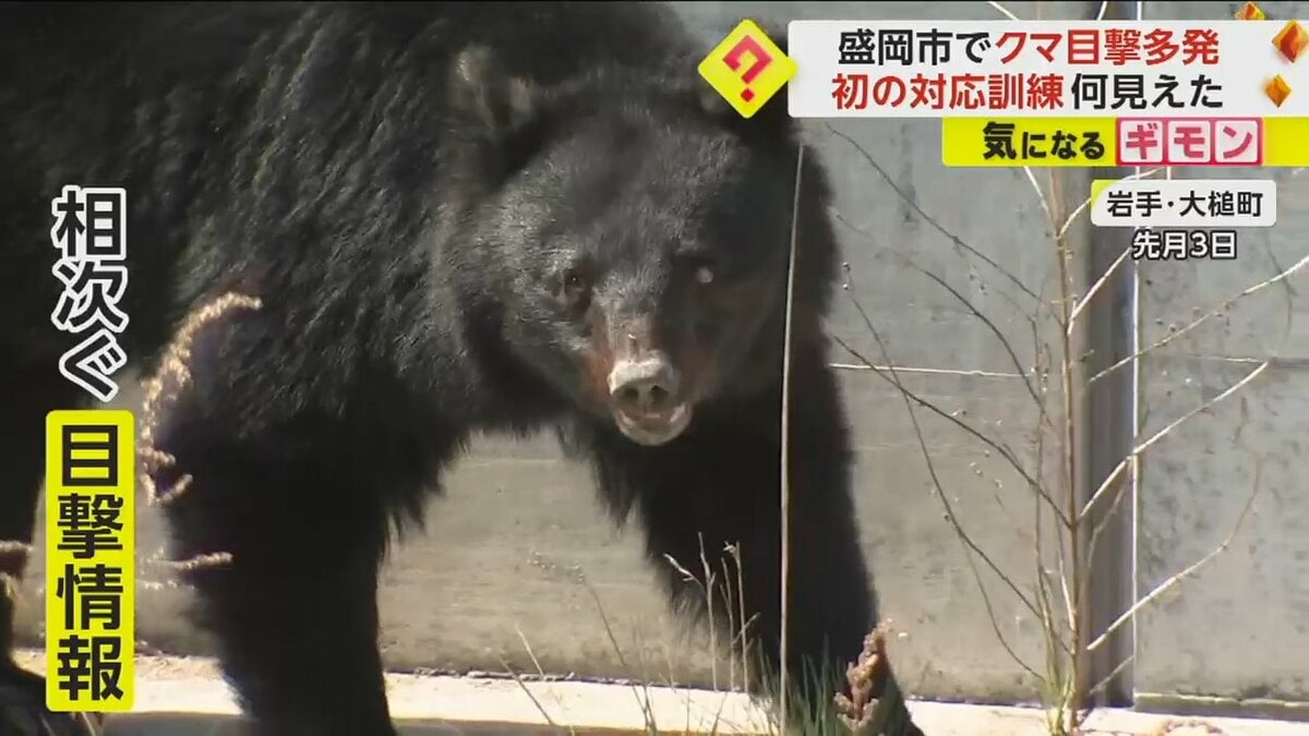 盛岡市“クマの目撃多発”】盛岡駅から1.5キロの市街地にも現れる 動物園