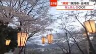 ＜中継＞花換まつりで知られる“恋の宮”まもなくサクラ満開　「豊臣兄弟」が天下取りへの階段を駆け上がった“出世の聖地”　敦賀の金崎宮