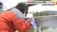鳥取城跡の大手橋“ピカピカ”に！年末恒例の橋磨き　児童が感謝込めて清掃　地域の歴史知り継承を