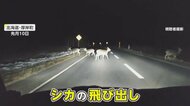 高速道路に現れた“奇跡のシカ”に「オーマイガー！」 全国で相…