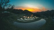 米を育む美しい幾何学模様！失われゆく今こそ訪ねたい絶景の「棚田」【一人旅研究会の“日本”ノスタルジック写真館】